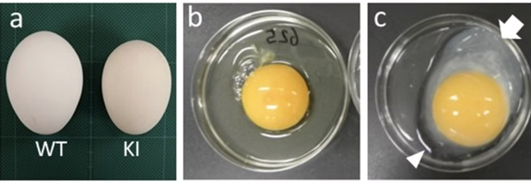 Production Comparison Data